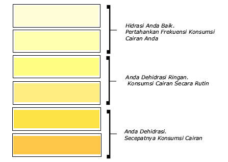 Sudahkan agan memperhatikan warna urin agan?