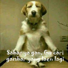 Lawak gan!! Gambar-gambar Akil Moctar {pic}