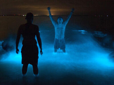Misteri Danau Bewarna Biru Neon di Australia