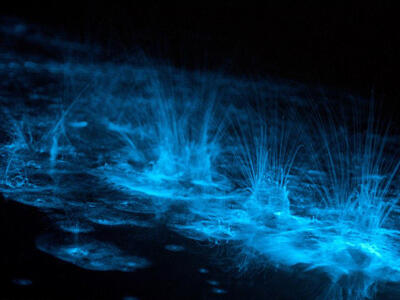 Misteri Danau Bewarna Biru Neon di Australia