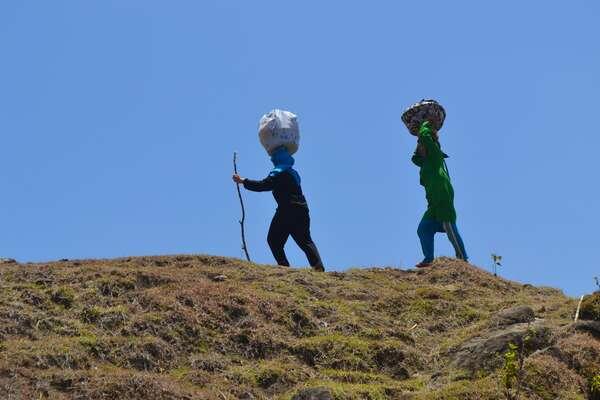 cendol tidak hanya dikaskus, tapi ada juga di puncak gunung