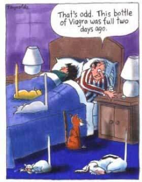 Viagra yang Hilang
