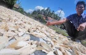 NASI sehat bebas KOLESTEROL