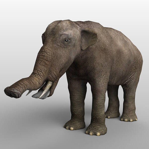 &#91;Let Us Known&#93; PlatyBelodon, Gajah Purba Yang Aneh