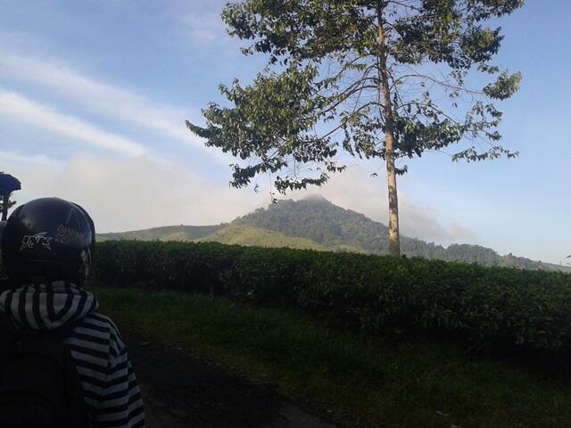 Perjalanan Wisata Jalur Selatan dan Pantai Selatan Cianjur-Garut