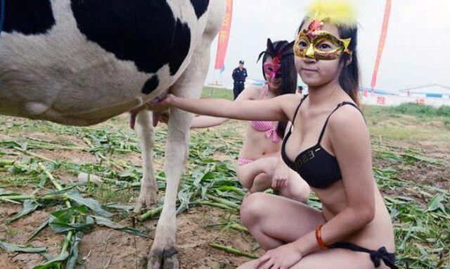 Test Mata SAPI ato SUSU