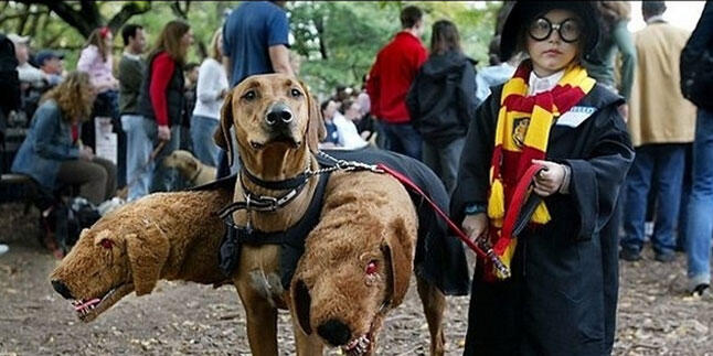 Aduh, Lucunya Kostum Halloween Anak-Anak Ini ! Cubanget