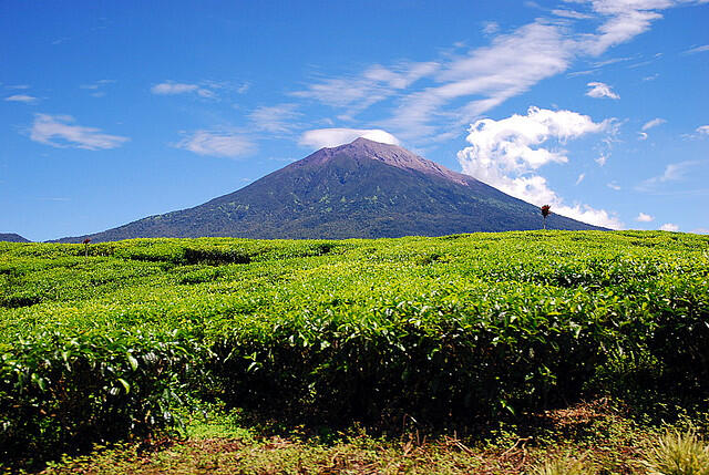 Proses Terjadinya Gunung Meletus