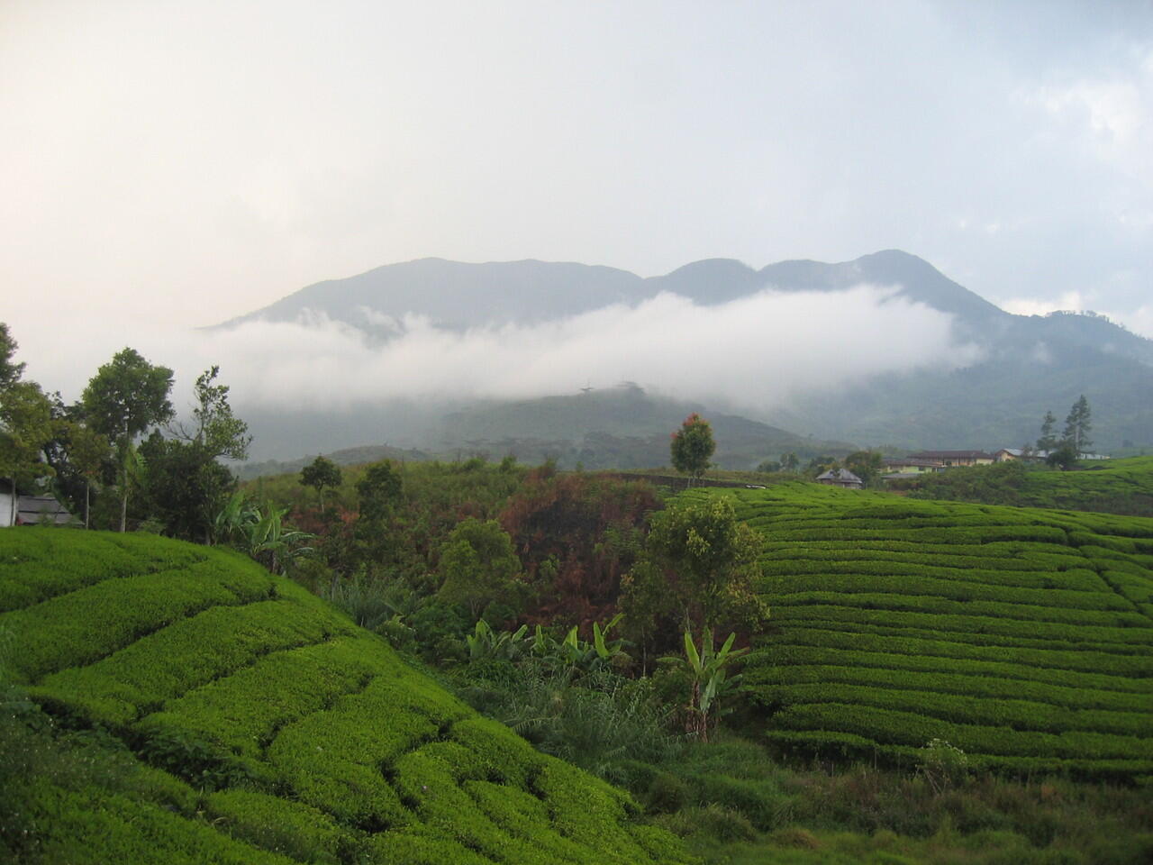 Proses Terjadinya Gunung Meletus