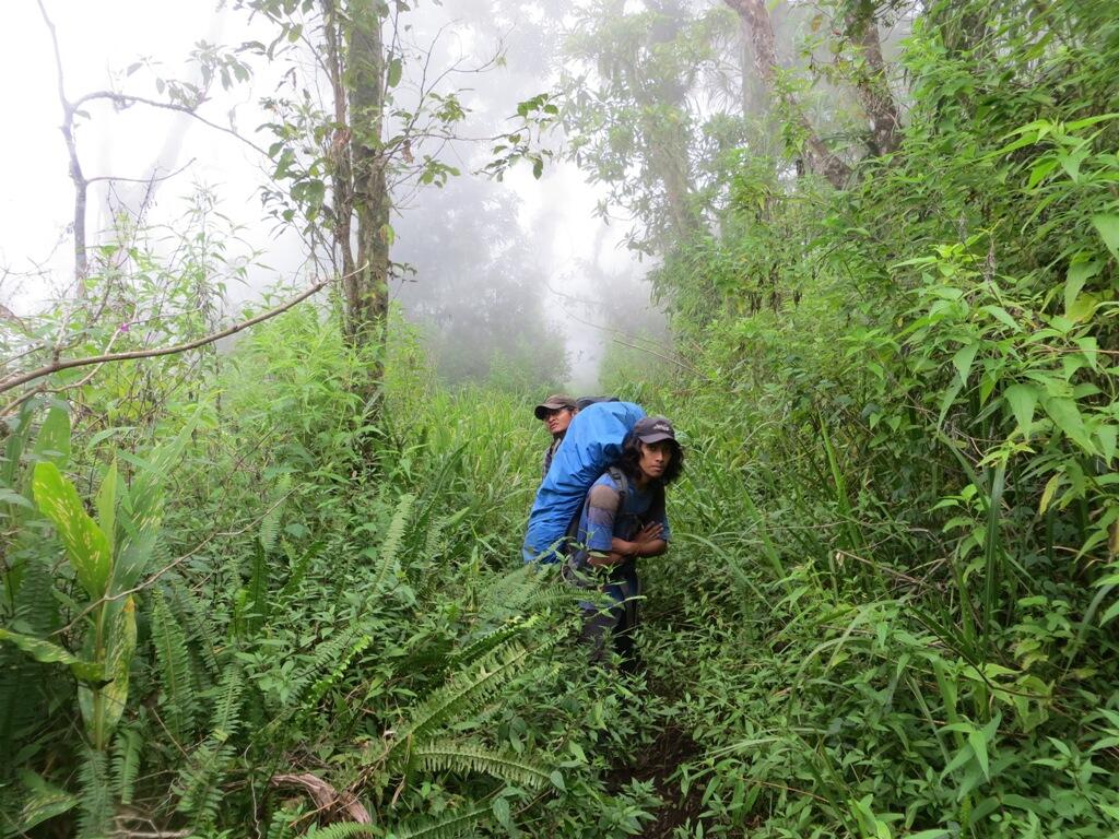 Argopuro, Juni 2013