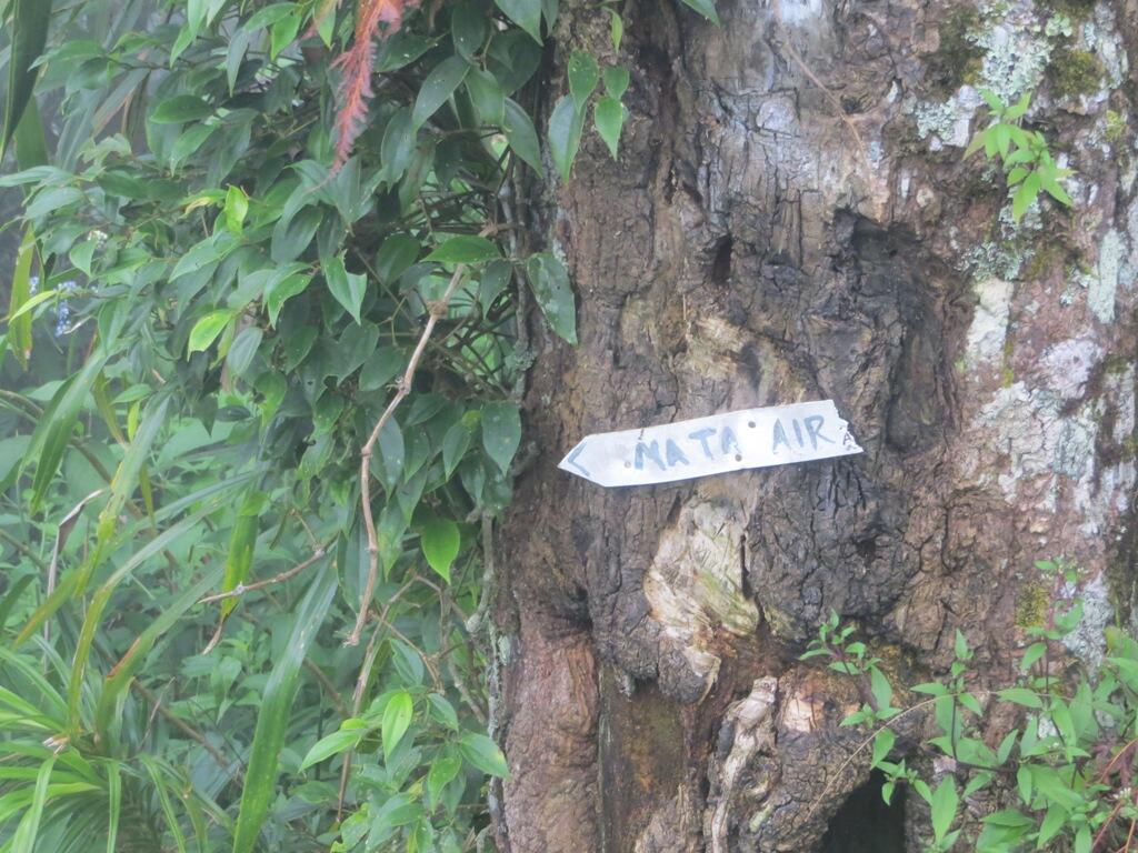 Argopuro, Juni 2013
