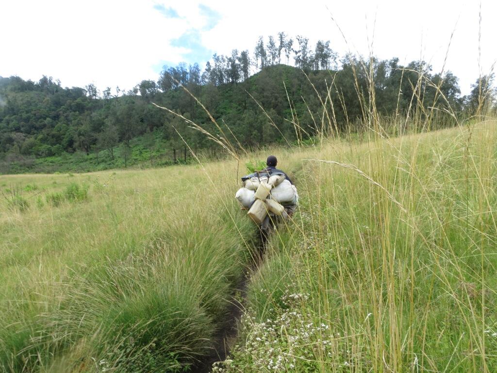 Argopuro, Juni 2013
