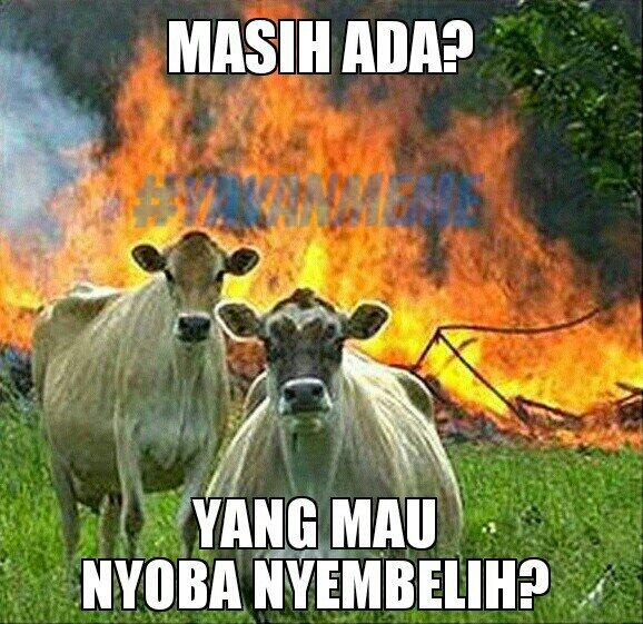 &#91;UPDATE&#93; Meme buatan ane gan #YAYANMEME di jamin ngakak *sudah terbukti*