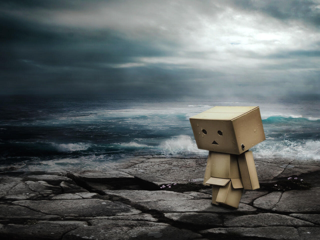 Asal Usul Danbo