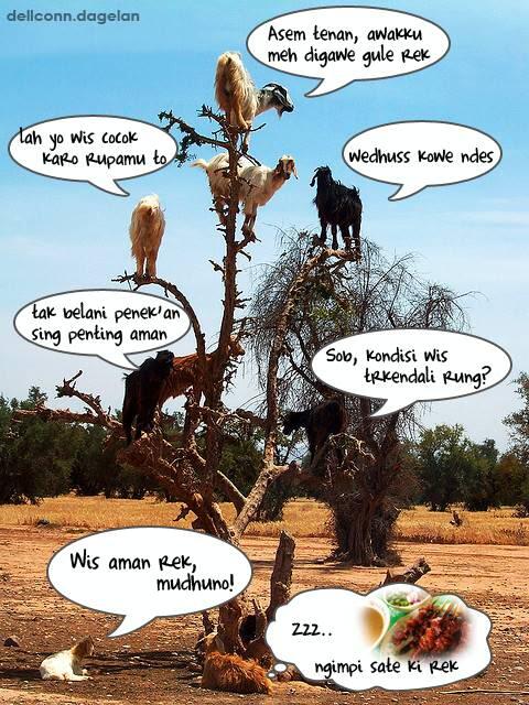 Foto Kambing di Seluruh Dunia 