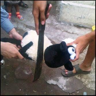 ANE BERQURBAN