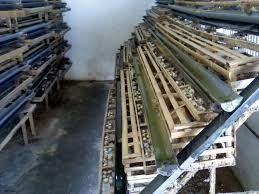 Jual telor puyuh dan horen Blitar murah ...