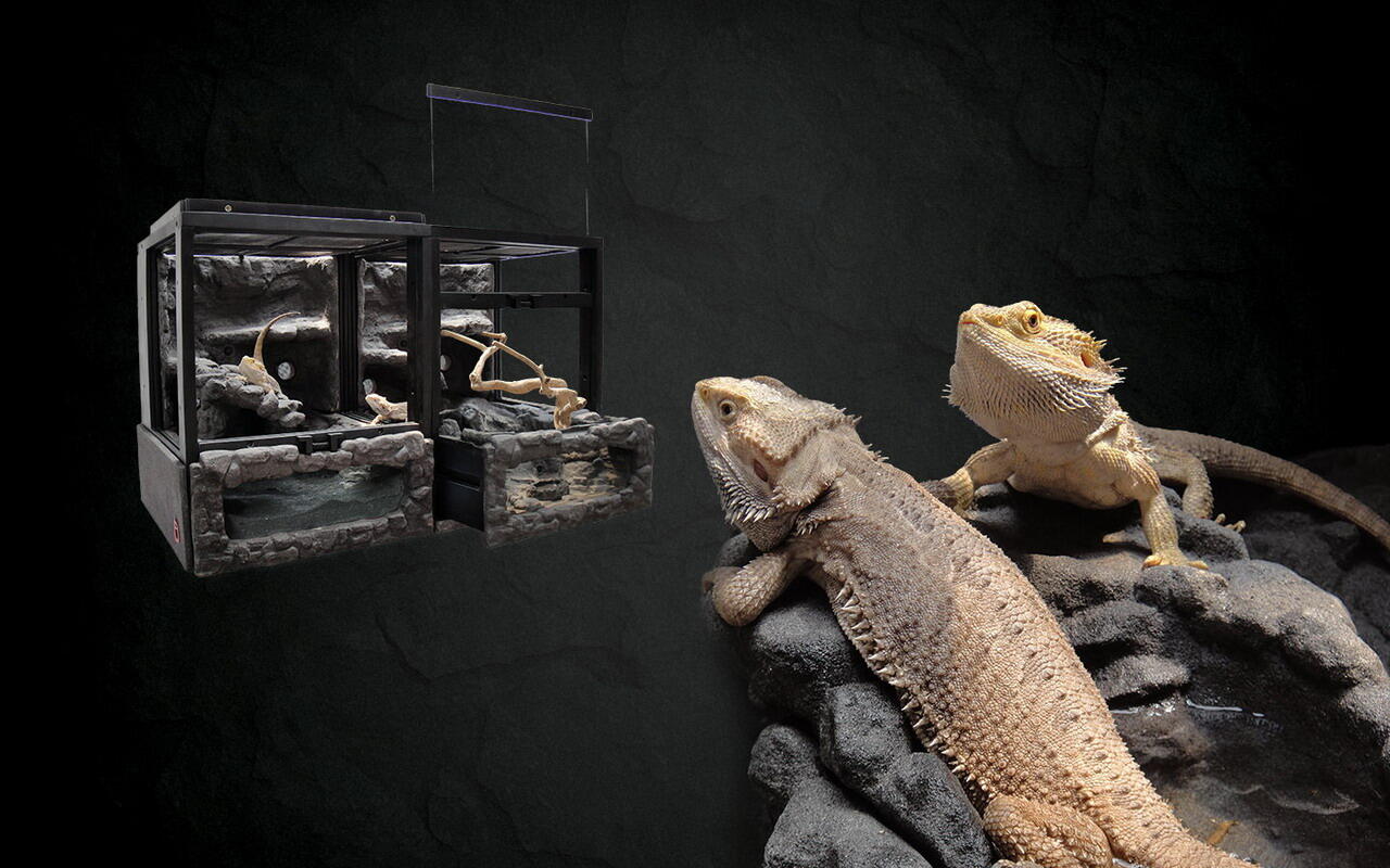 Reptile Cage - Kandang Reptil