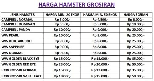 Jual Hamster Grosir Eceran Partai Murah 4500 Tangerang Jakarta