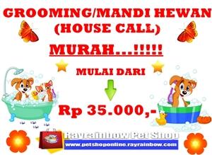 Mandi Salon Kucing Anjing Murah Mulai 35.000 Panggilan Kerumah