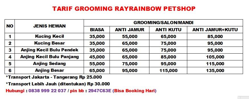 Mandi Salon Kucing Anjing Murah Mulai 35.000 Panggilan Kerumah