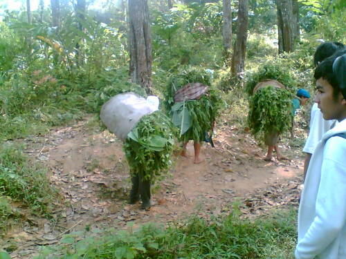 Kegiatan anak SD jaman dulu setelah pulang sekolah