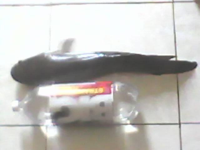 Ikan Gabus Babon Panjang 70 Cm berat 2 kg