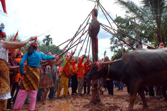 Tradisi Adat Dayak 