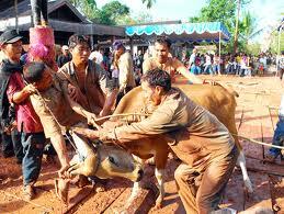 Tradisi Adat Dayak 