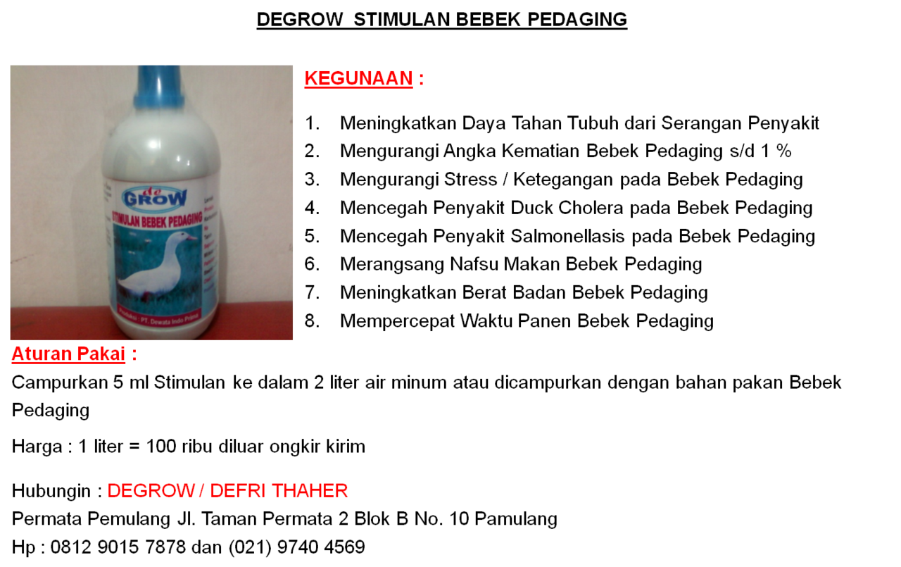 DEGROW STIMULAN BEBEK PEDAGING
