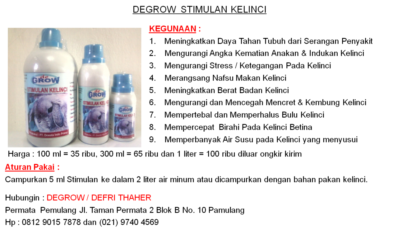 DEGROW STIMULAN KELINCI