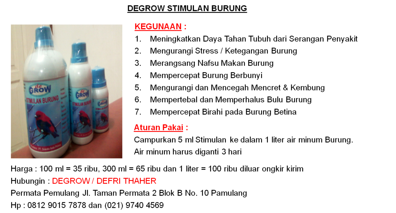 DEGROW STIMULAN BURUNG