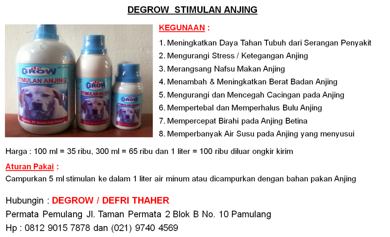 DEGROW STIMULAN ANJING