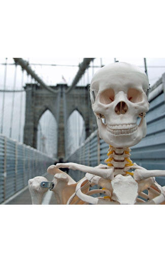 W.OW ! Wanita Ini Traveling Keliling Dunia Ditemani 'Tengkorak Manusia'