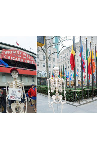 W.OW ! Wanita Ini Traveling Keliling Dunia Ditemani 'Tengkorak Manusia'