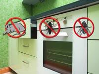 Tips Basmi Kecoa, Tikus dan Lalat dari Dapur Rumah