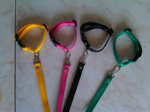 Jual COLLAR