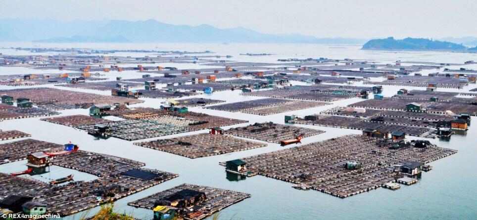 &#91;Picts+Video&#93; Kota Apung Yang Ber-Penduduk 7000 Orang