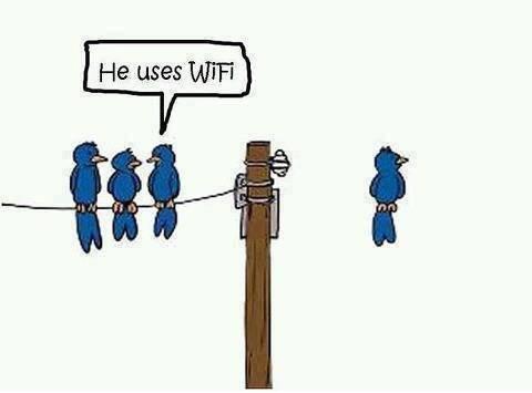 kalo burung pake WIFI