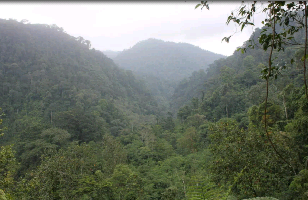 Objek Pariwisata di Kota Brebes