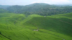 Objek Pariwisata di Kota Brebes