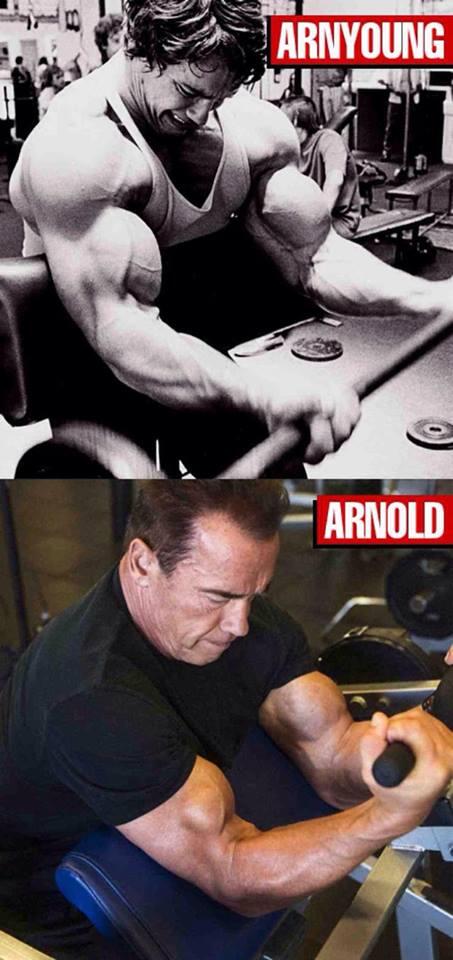 Old vs Young (Arnold vs VanDamme vs Stallone) moga Hot Trid gan!