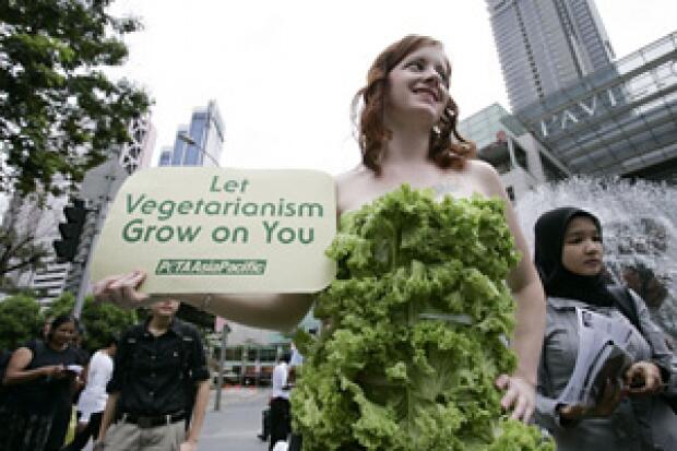5 Manfaat Positif Jadi Vegetarian