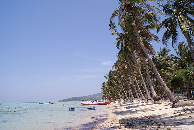 Wisata Karimun Jawa: Menikmati Keindahan Biota Laut di Tanah Jawa