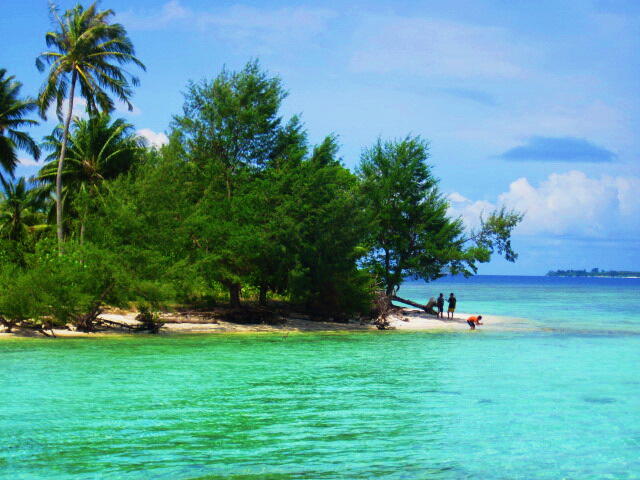 Wisata Karimun Jawa: Menikmati Keindahan Biota Laut di Tanah Jawa