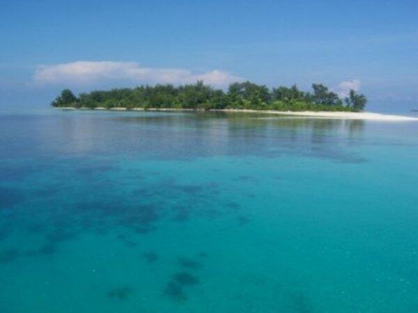 Wisata Karimun Jawa: Menikmati Keindahan Biota Laut di Tanah Jawa