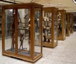 _=ISI MORBID ANATOMY LIBRARY NEW YORK=_ CEKIBROT GANSS 