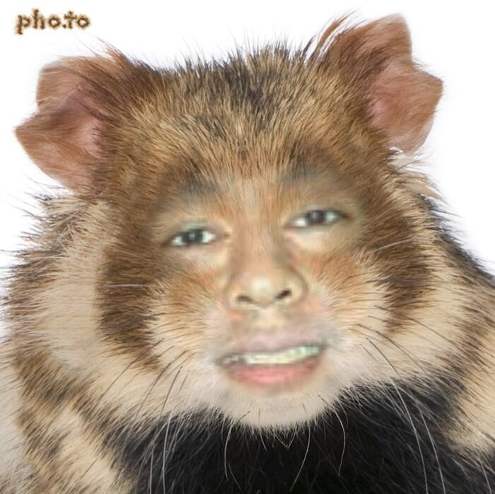 CURHAT: cuci kandang hamster berhadiah MOBIL ! :matabelo: