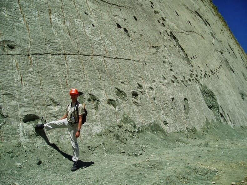 Di Bolivia, ada Lebih Dari 5000 Jejak Kaki Dinosaurus Pada Dinding Setinggi 100 Meter