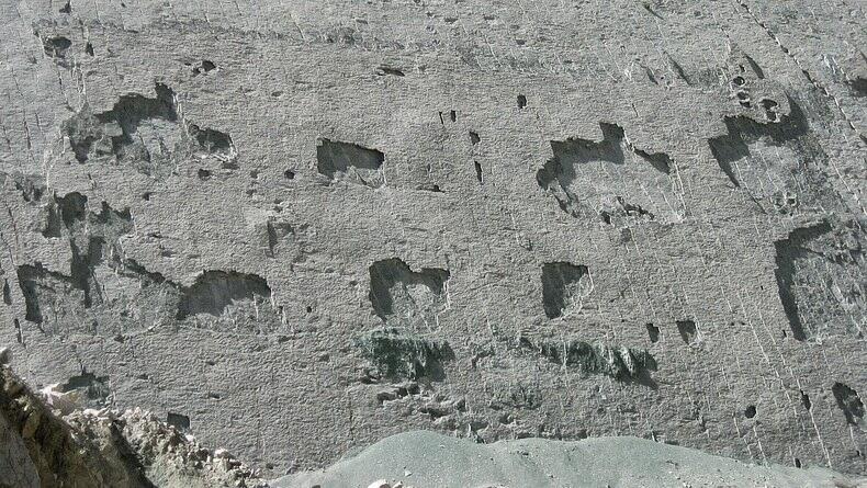 Di Bolivia, ada Lebih Dari 5000 Jejak Kaki Dinosaurus Pada Dinding Setinggi 100 Meter